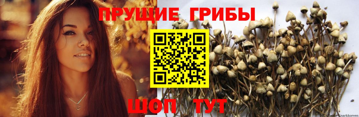 Псилоцибиновые грибы ЛСД  Вход с VPN  Псилоцибиновые грибы мицелий  Лысьва 